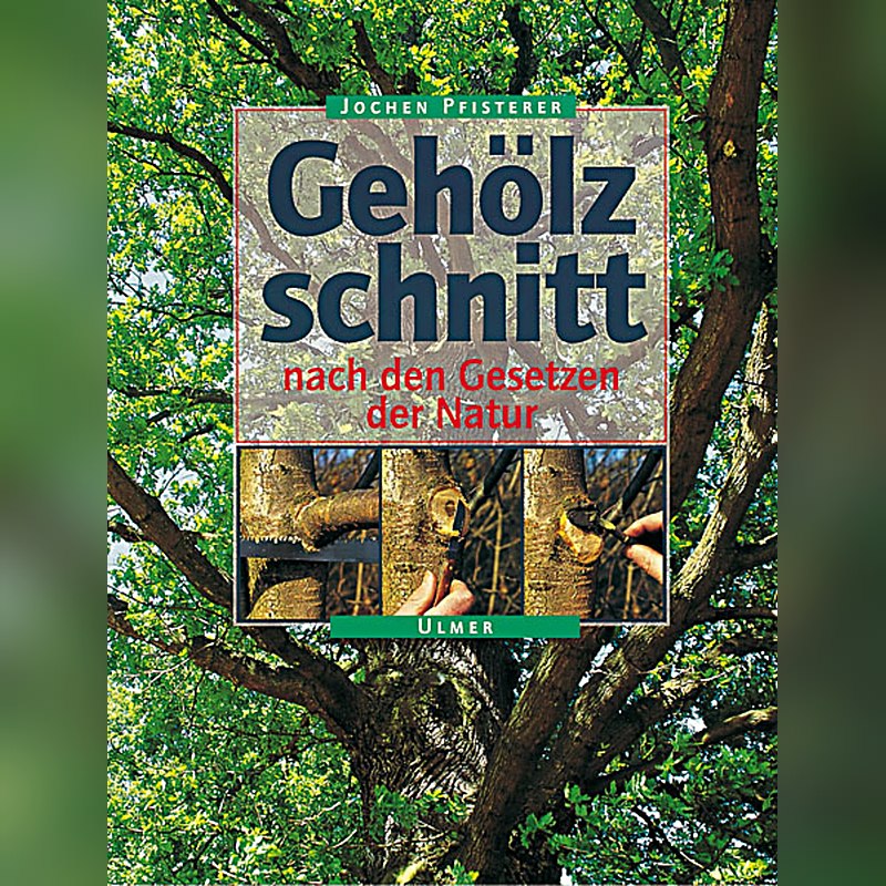 Gehölzschnitt nach den Gesetzen der Natur
