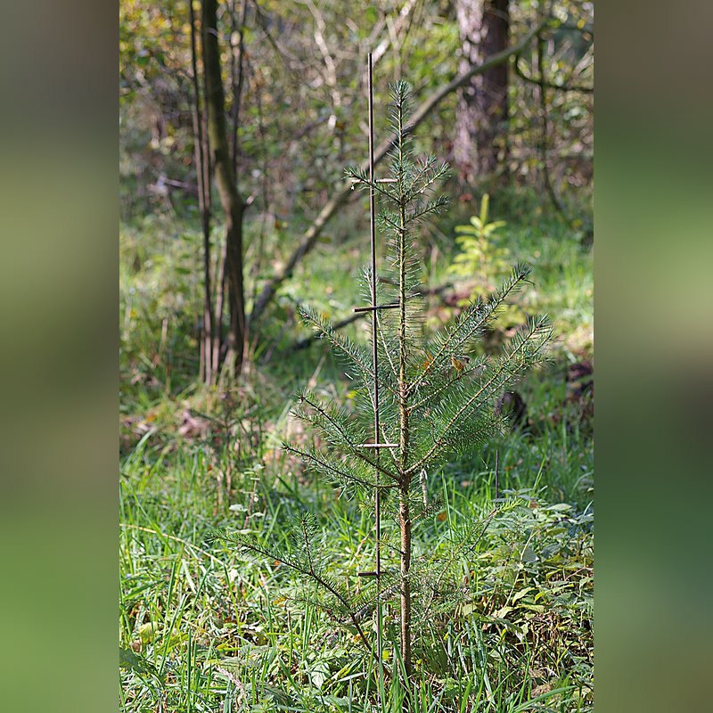 Fegeschutzstab Kärnten 140 cm