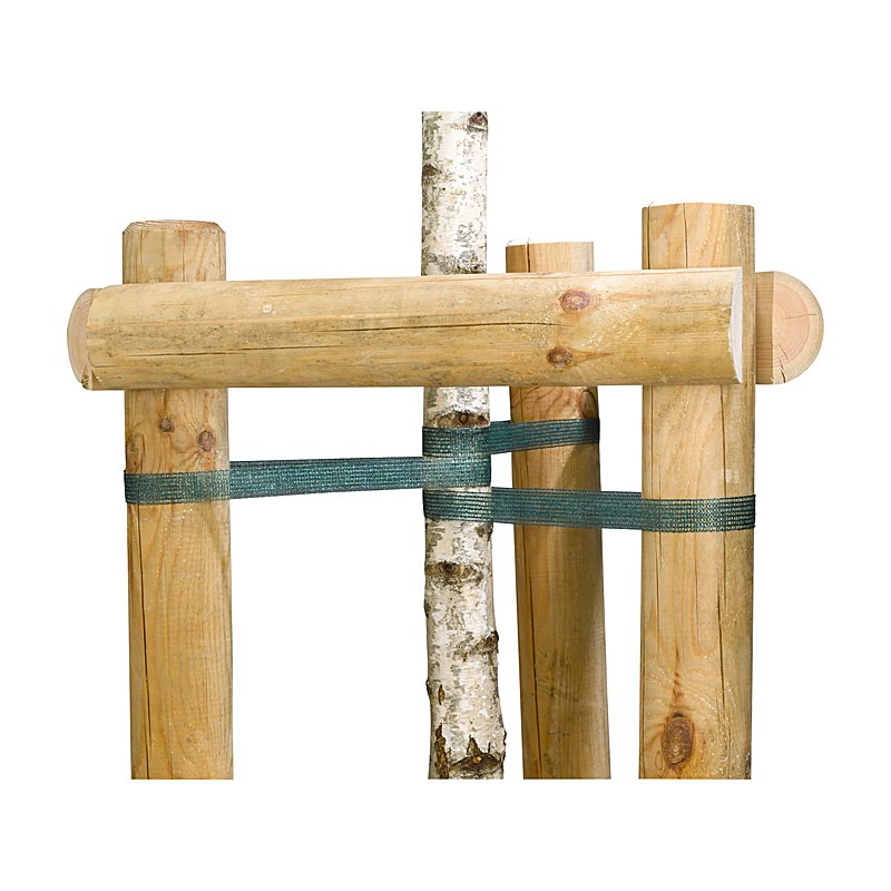 Baumpfahlbänder