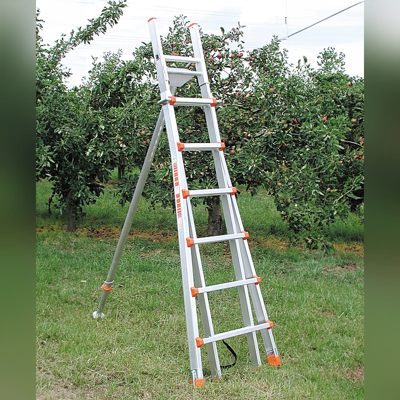 Siedra Obstbaumleiter Baumfreund