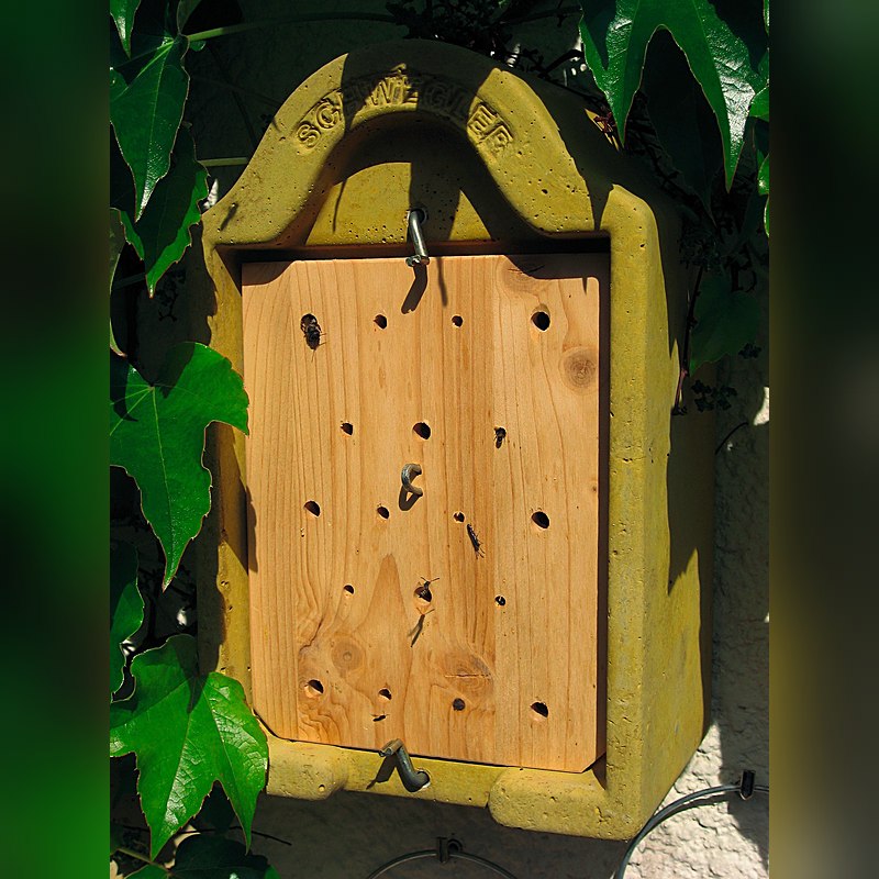 Insektennisthaus zum Beobachten