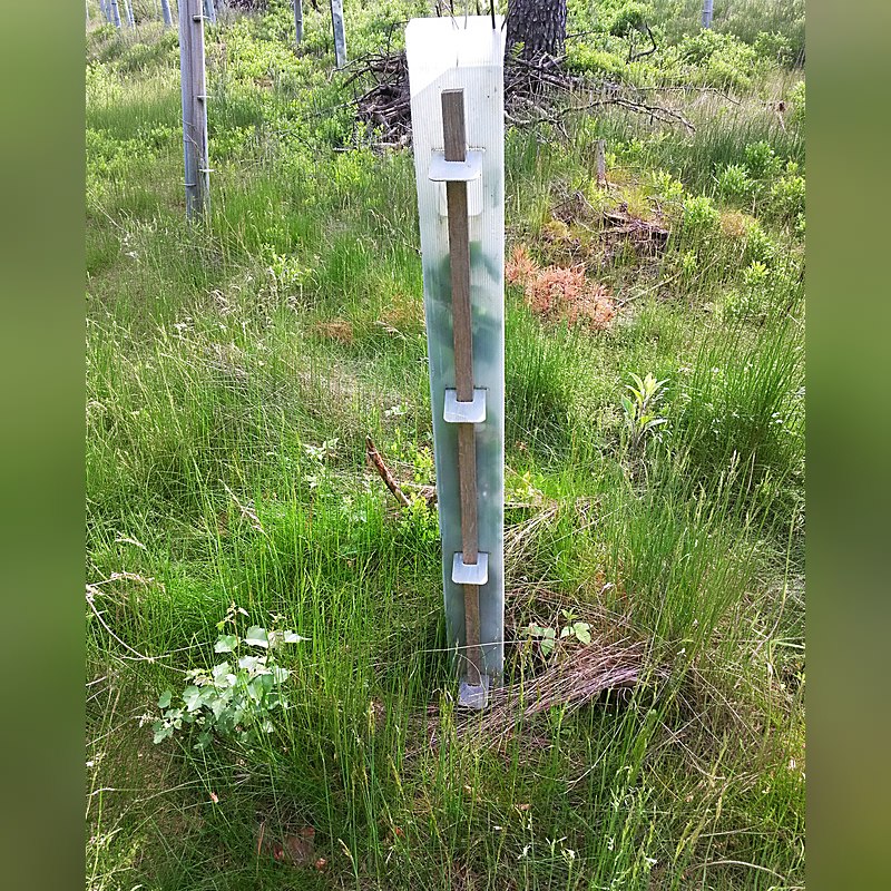 Plantagard Wuchshülle ClimaVent, Höhe 120 cm