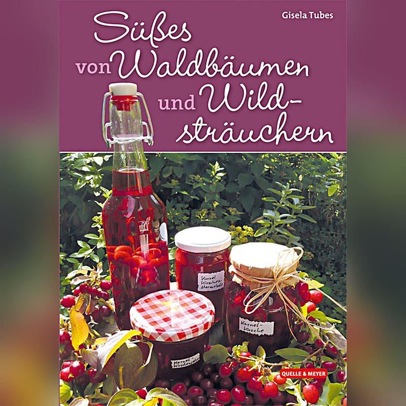 Süßes von Waldbäumen und Wildsträuchern