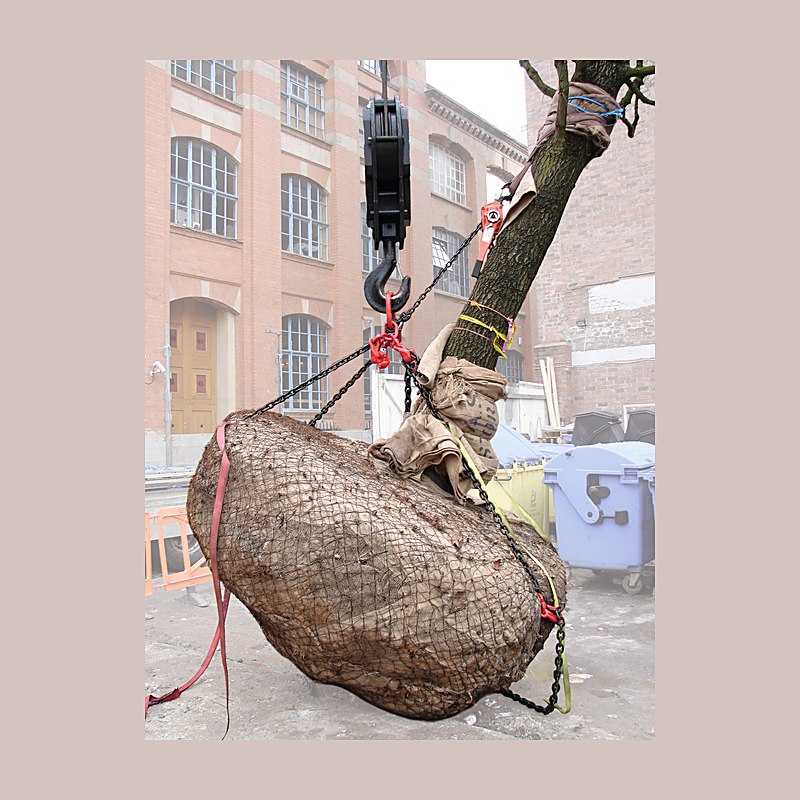 Gefa teilbares Ballengeschirr, 6000 kg, 2 m