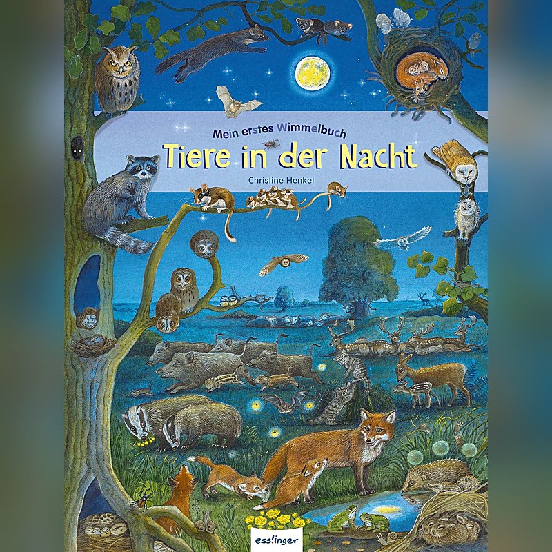 Mein erstes Wimmelbuch – Tiere in der Nacht