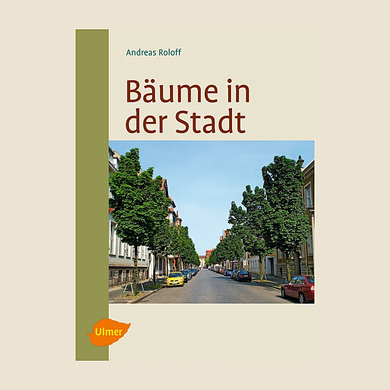 Bäume in der Stadt