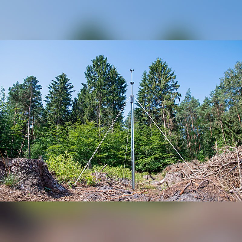 Schlitzfallenständer, sternförmig