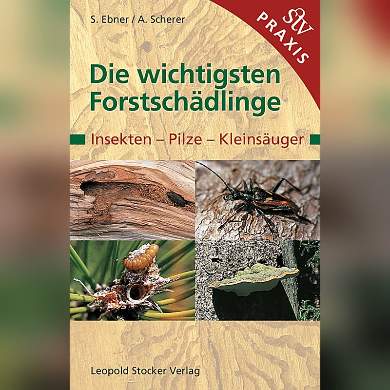 Die wichtigsten Forstschädlinge – Insekten, Pilze, Kleinsäuger