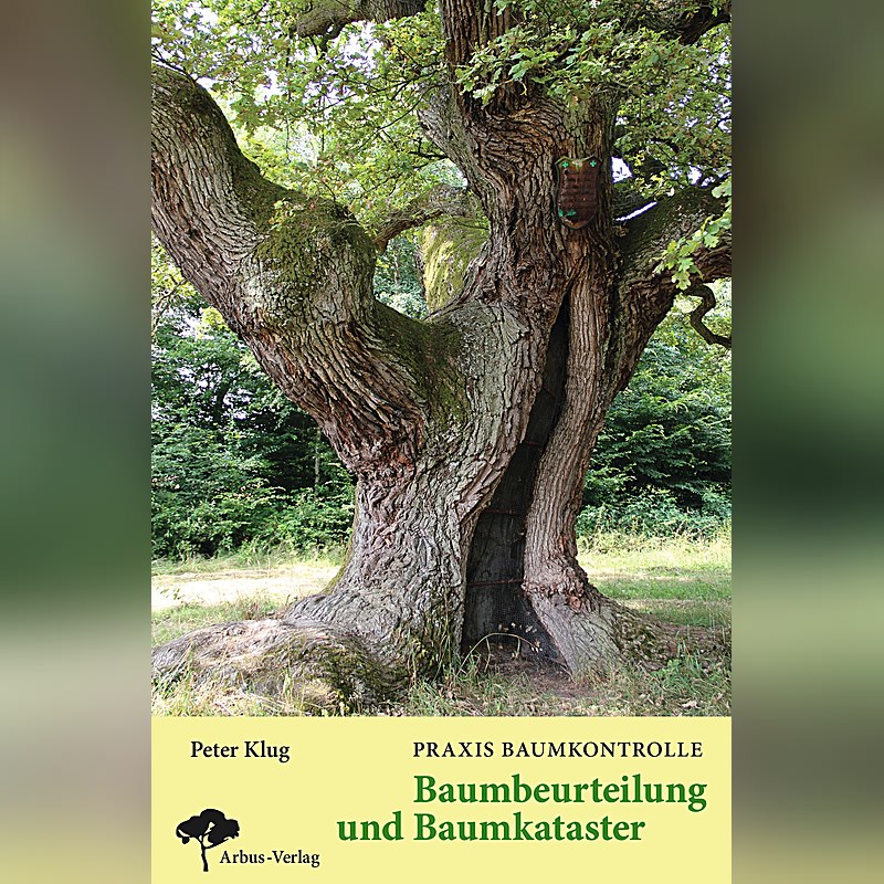 Praxis Baumkontrolle – Baumbeurteilung und Baumkataster