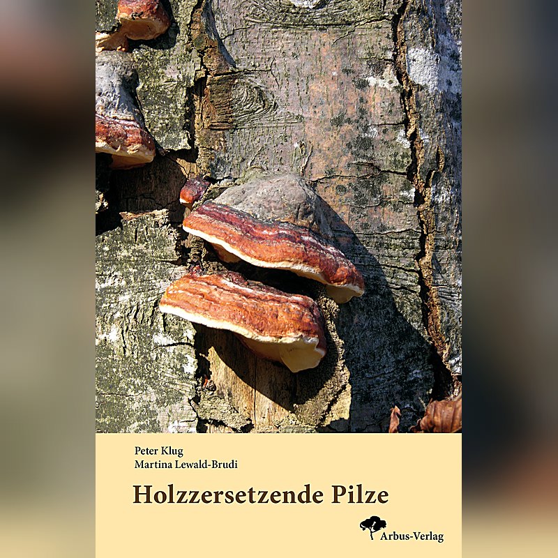 Holzzersetzende Pilze