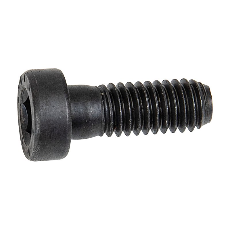 Forstreich Zylinderkopfschraube M6 x 16 für TR 30 AQ