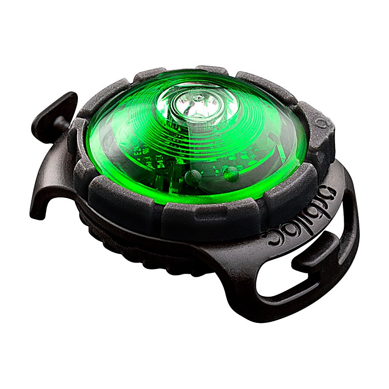 Orbiloc Dog Dual Light, grün