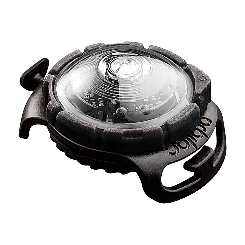 Orbiloc Dog Dual Light, weiß