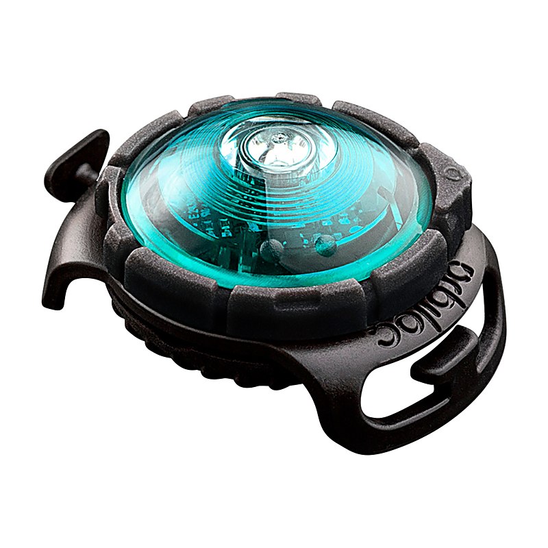 Orbiloc Dog Dual Light, türkis