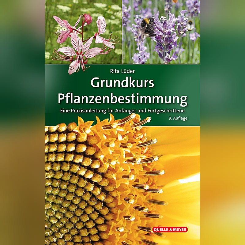 Grundkurs Pflanzenbestimmung – Eine Praxisanleitung für Anfänger und Fortgeschrittene