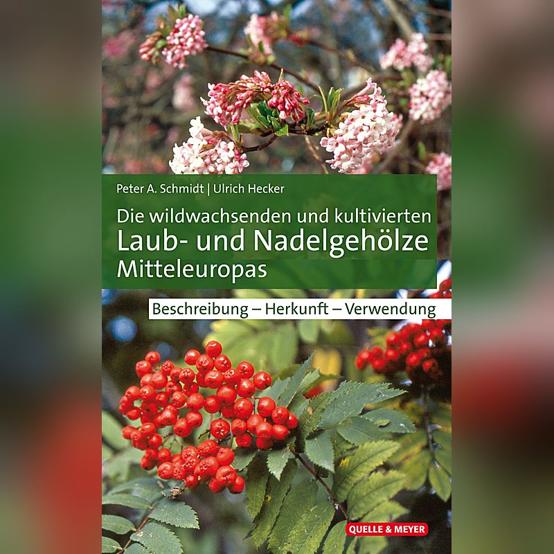 Die wildwachsenden und kultivierten Laub- und Nadelgehölze Mitteleuropas