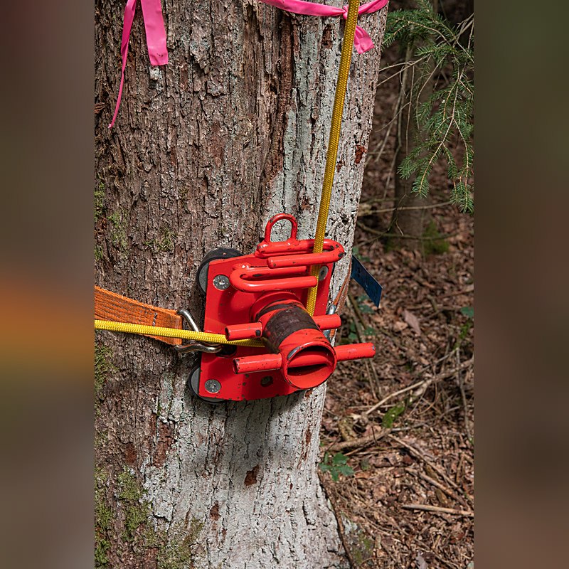 Tree Runner Rigging-Poller/Abseilbremse P500