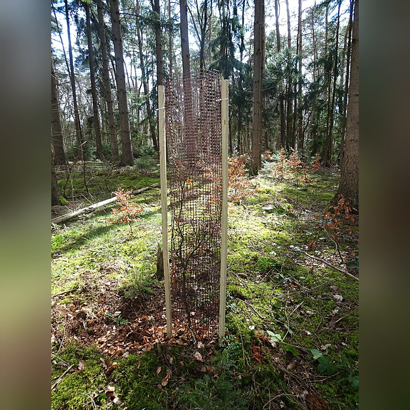 PlantaGard Baumschutz-Gitterhülle Freiwuchs-Bio 200