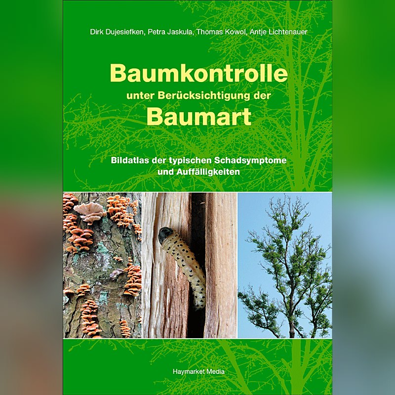 Baumkontrolle unter Berücksichtigung der Baumart