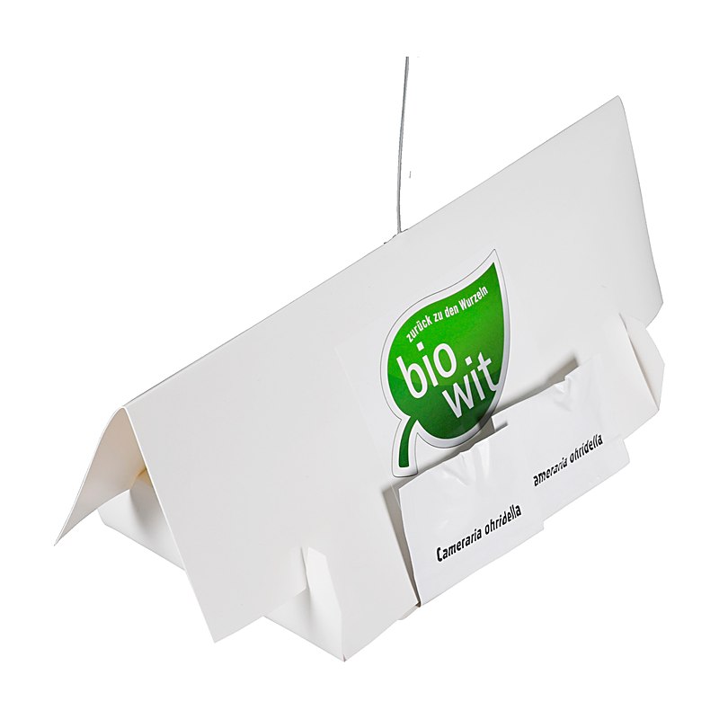 Kastanien-Miniermotten - Komplettset