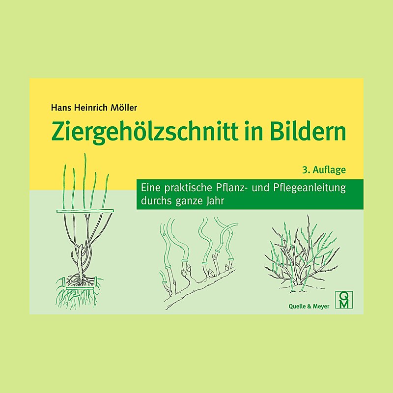 Ziergehölzschnitt in Bildern – Eine praktische Pflanz- und Pflegeanleitung durchs ganze Jahr