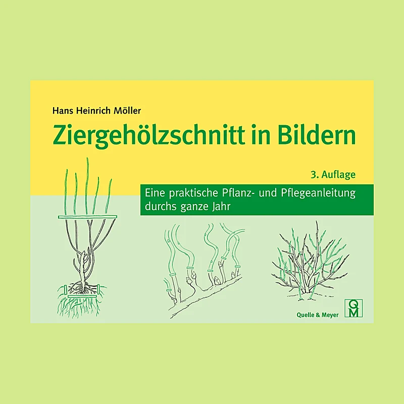 Ziergehölzschnitt in Bildern – Eine praktische Pflanz- und Pflegeanleitung durchs ganze Jahr