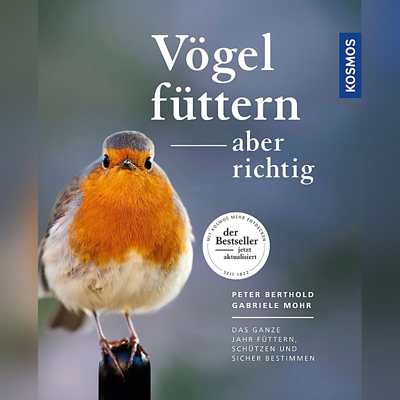 Vögel füttern – aber richtig
