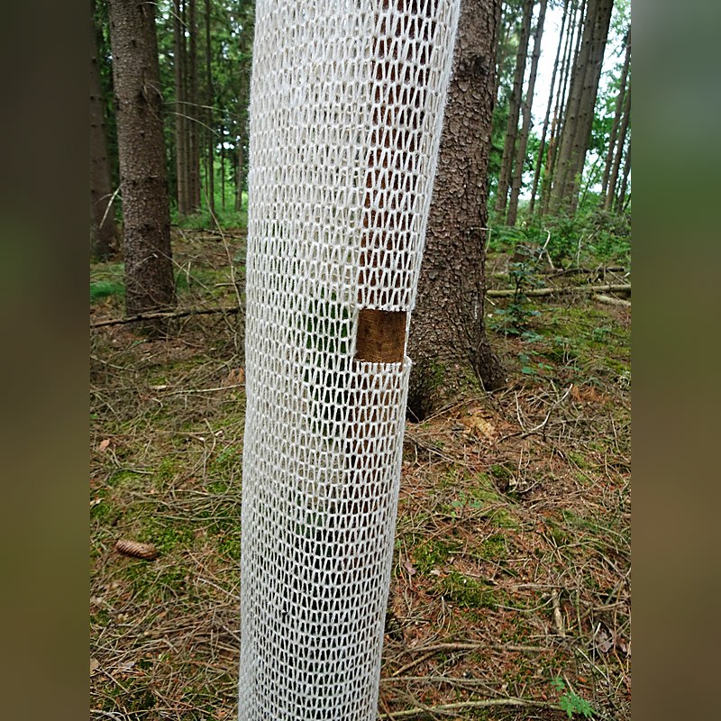 Buck Bio-Wuchshülle Buckshülle