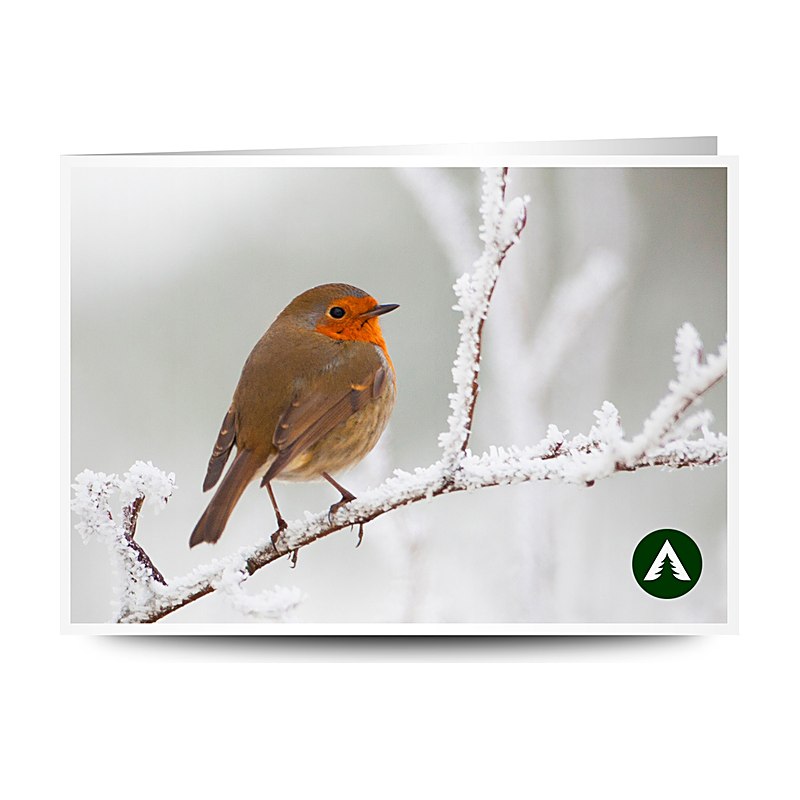 Geschenkgutschein zum Drucken, Wintervogel