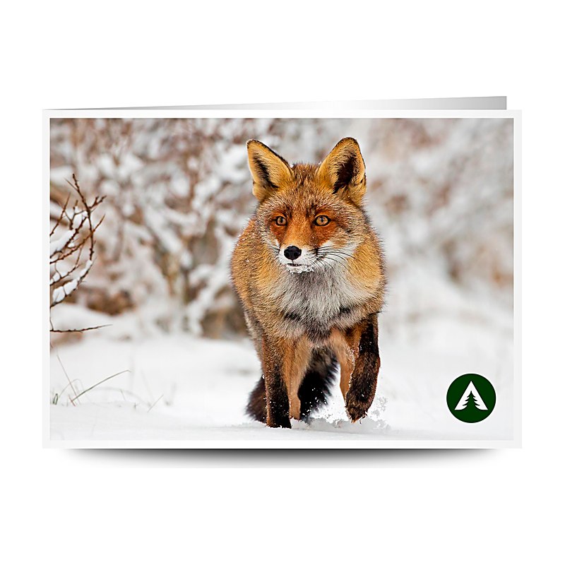 Geschenkgutschein zum Drucken, Winterfuchs