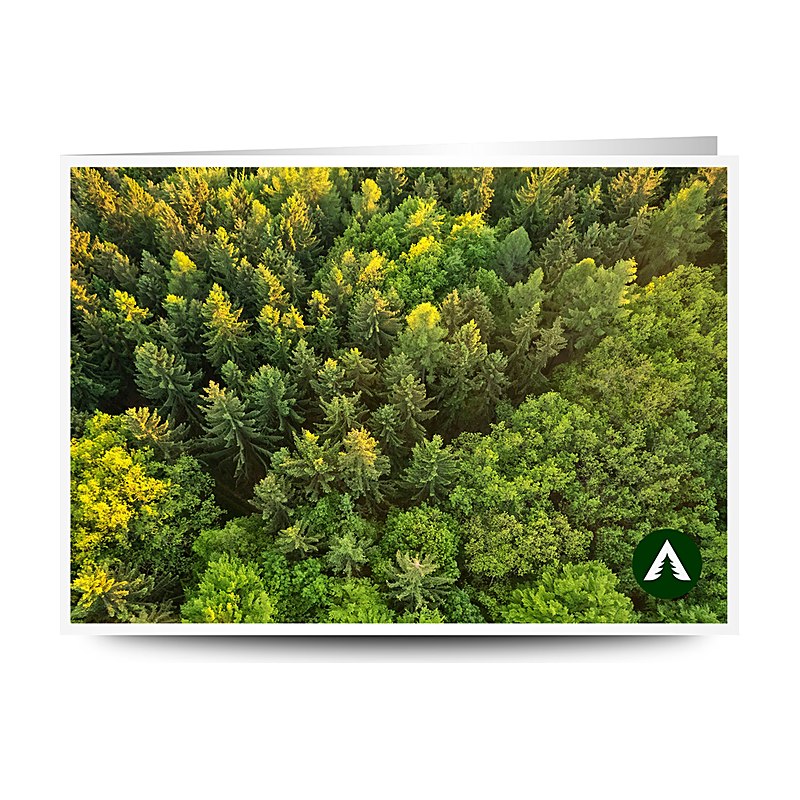 Geschenkgutschein zum Drucken, Wald