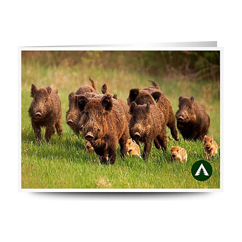 Geschenkgutschein zum Drucken, Wildschweine