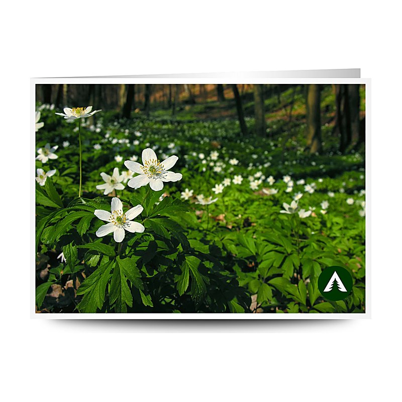 Geschenkgutschein zum Drucken, Frühling