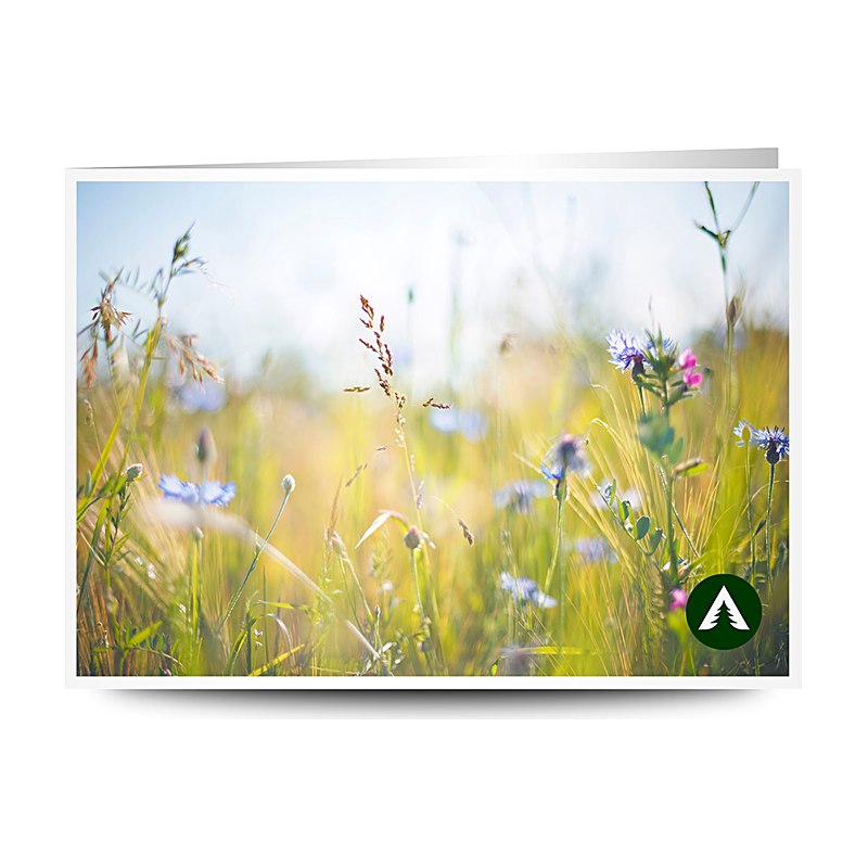 Geschenkgutschein zum Drucken, Sommer