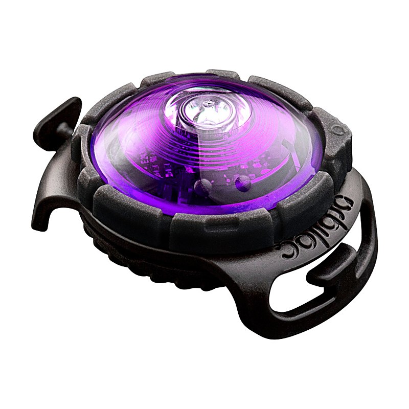 Orbiloc Dog Dual Light, lila