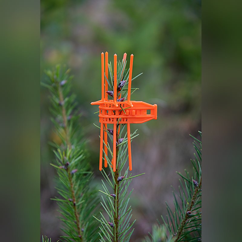 Signumat Verbissschutzmanschette Cactus, orange, 100 Stück