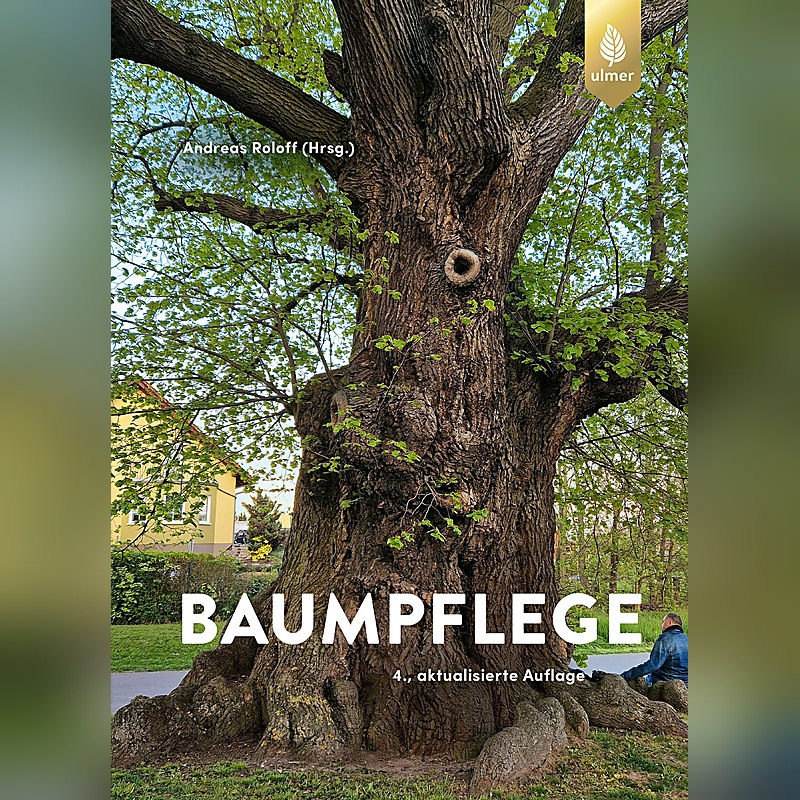 Baumpflege