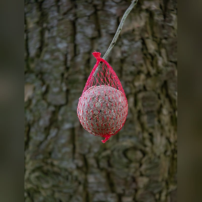 Tedje Meisenknödel Frucht und Insekt