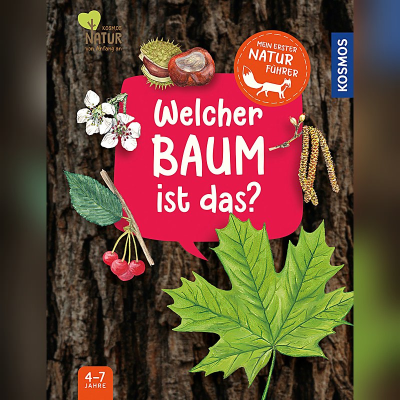 Mein erster Naturführer – Welcher Baum ist das?
