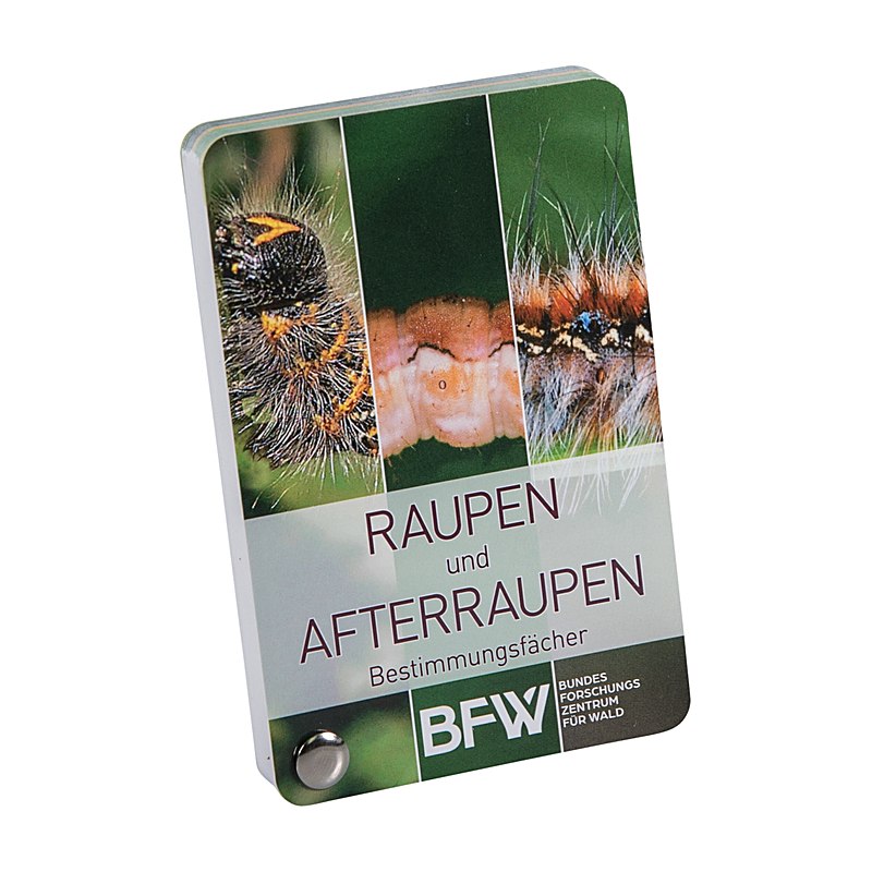 Bestimmungsfächer - Raupen und Afterraupen