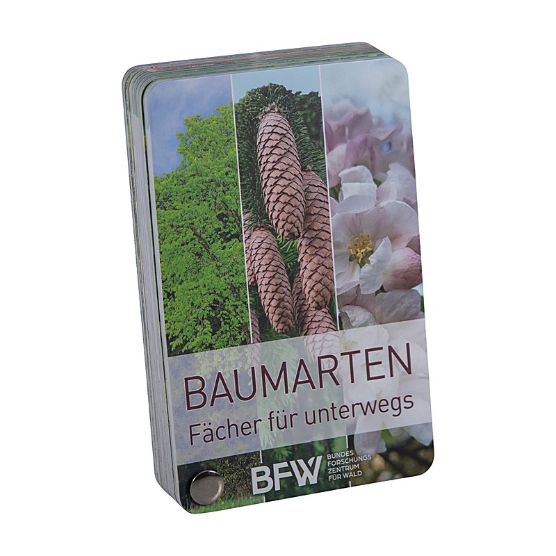 Baumarten – Fächer für unterwegs