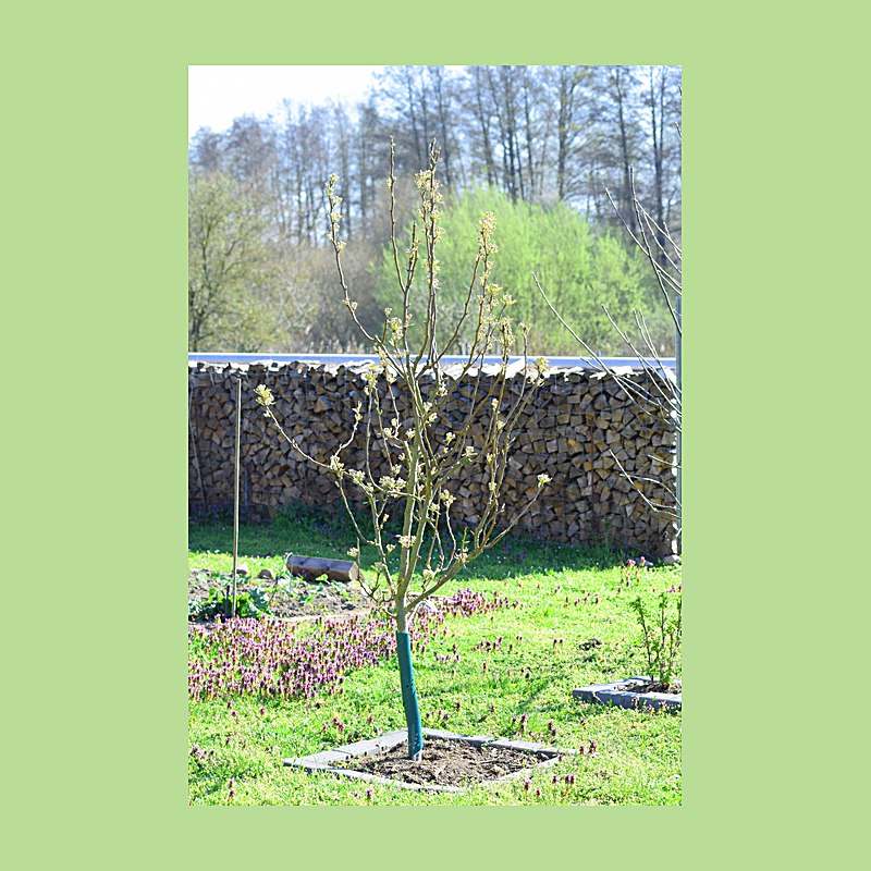 Rainbow Wild- und Fegeschutzspiralen, 150 cm