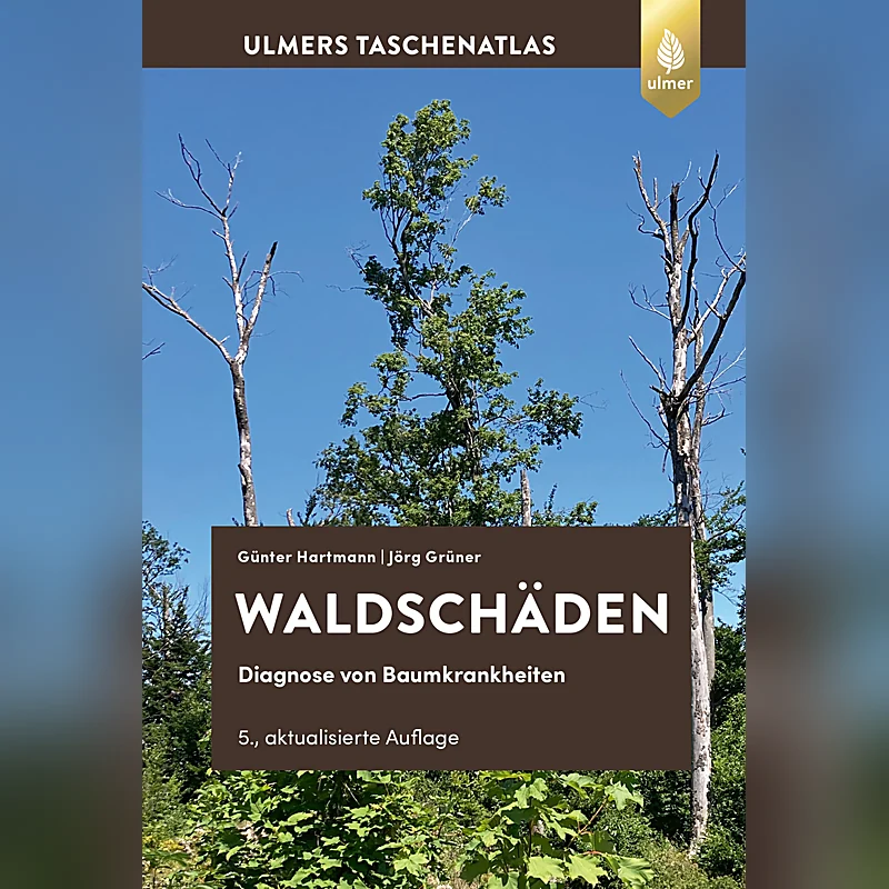 Taschenatlas Waldschäden – Diagnose von Baumkrankheiten