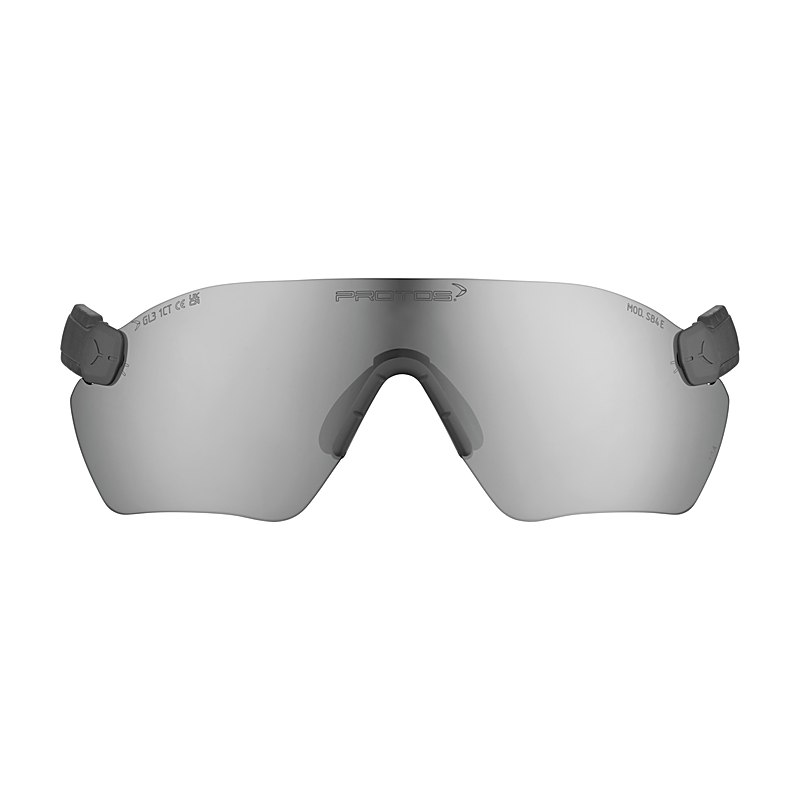 Protos Schutzbrille E, grau