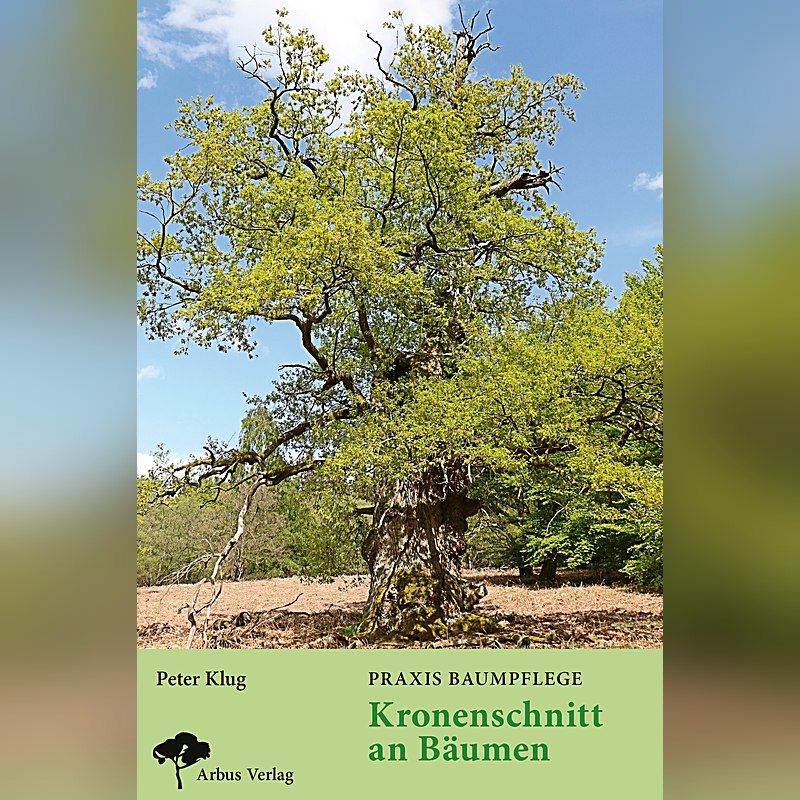 Praxis Baumpflege – Kronenschnitt an Bäumen