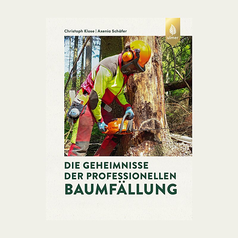 Die Geheimnisse der professionellen Baumfällung