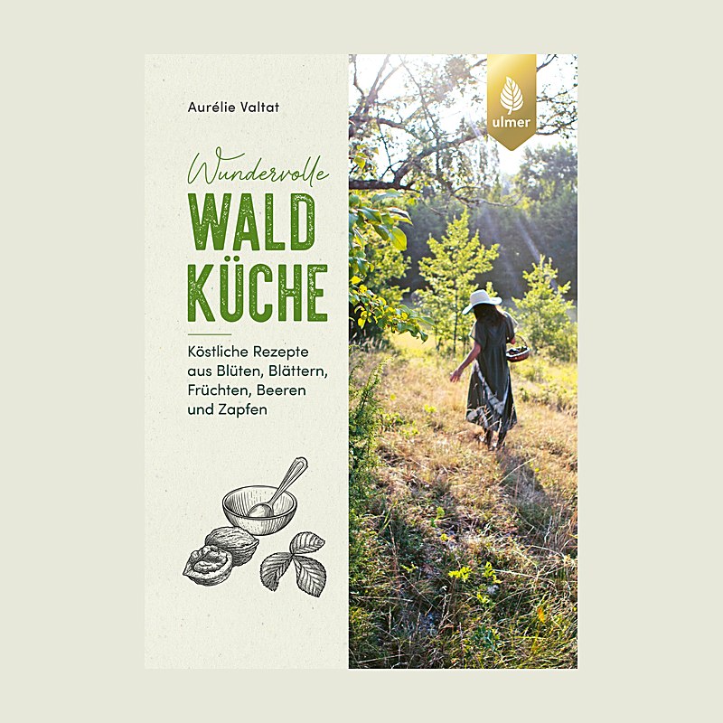 Wundervolle Waldküche