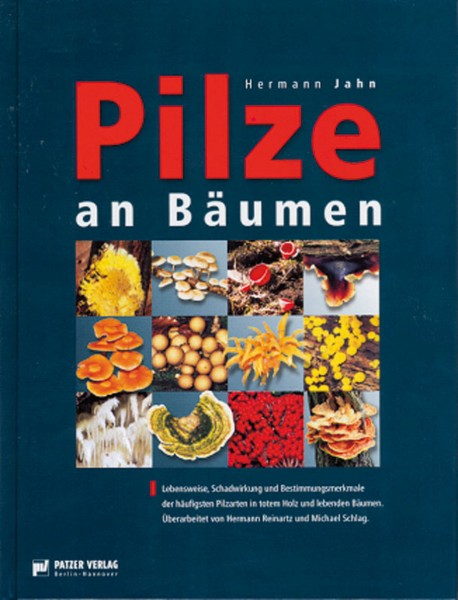 Buch Pilze an Bäumen