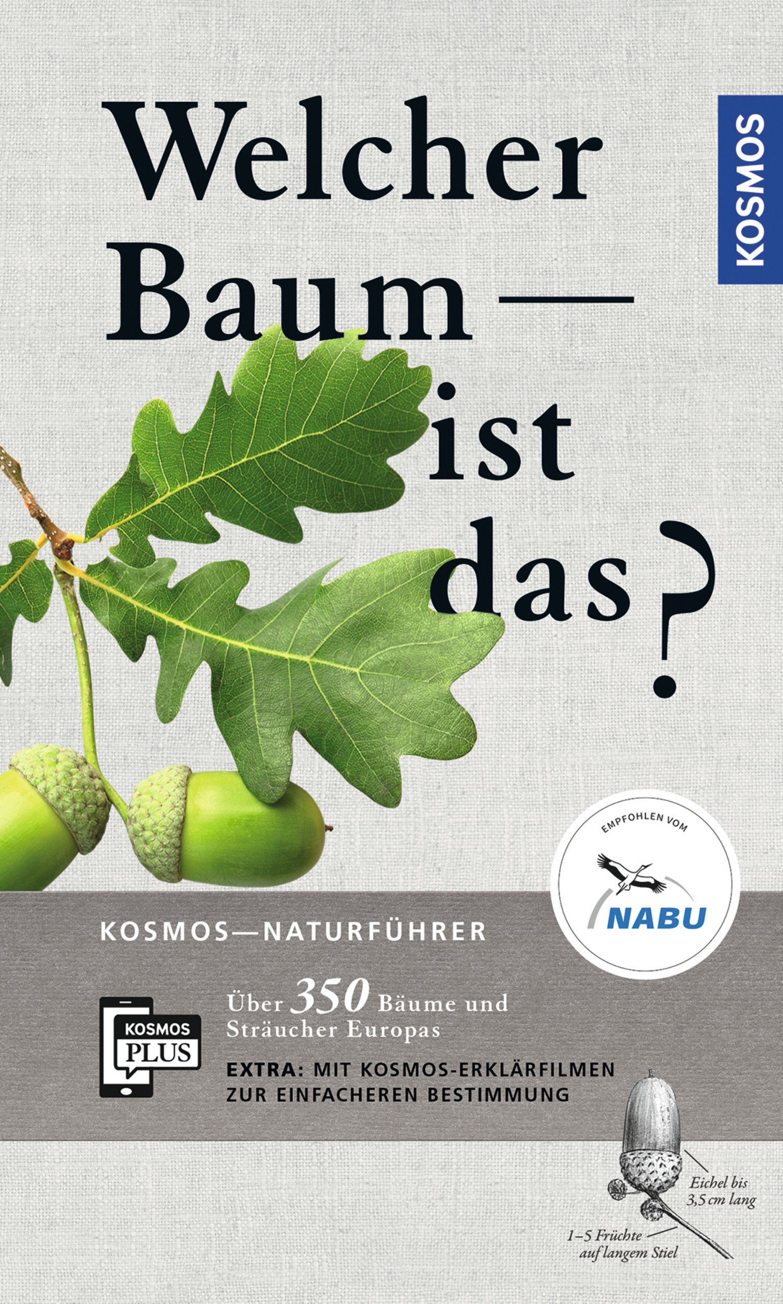 Welcher Baum ist das? Fachbücher Baumpflege