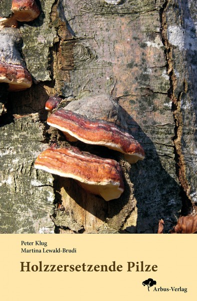 Buch Holzzersetzende Pilze